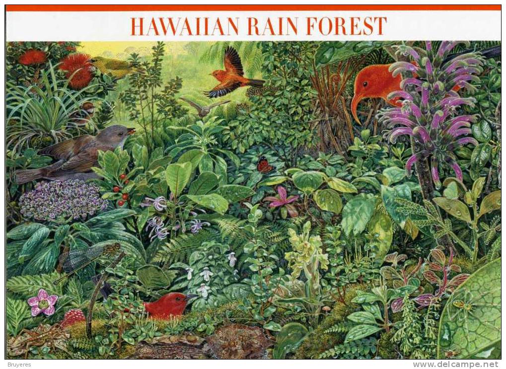 Entier Postal De 2010 Sur Carte Postale Avec  Timbre Et Illust. "Hawaiian Forest " - 2001-10