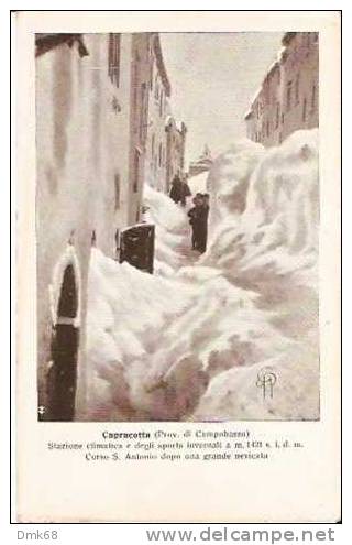 CAPRACOTTA ( ISERNIA ) CORSO S. ANTONIO DOPO UNA GRANDE NEVICATA - Isernia