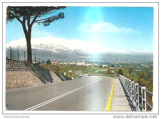 50994)cartollina Illustratoria Acireale - Strada  Panoramica - Acireale