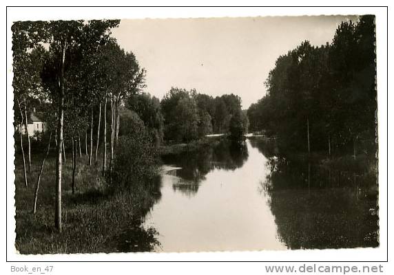 {50944} 77 Seine Et Marne Bagneaux Sur Loing , Vue Sur Le Loing - Bagneaux Sur Loing