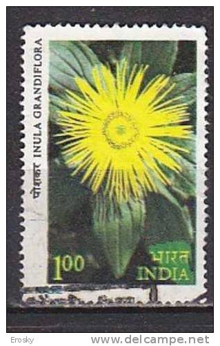 J3722 - INDE Yv N°710 - Used Stamps