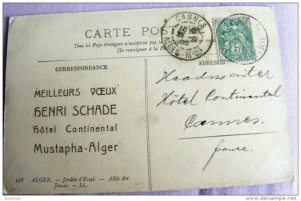 == Algerien , Palmen , Reklame Hotel... Nach Cannes 1905 - Covers & Documents