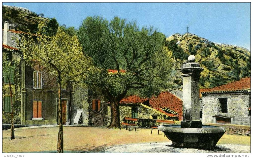 .83-LA GARDE-FREINET...PLACE DES AIRES......CPSM PETIT  FORMAT. - La Garde Freinet