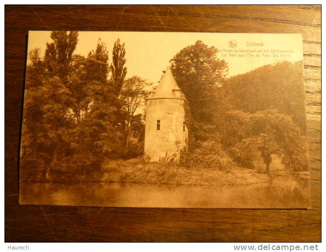 Dilbeek. La Tour Sur L'île Du Parc Sainte Alène - Dilbeek