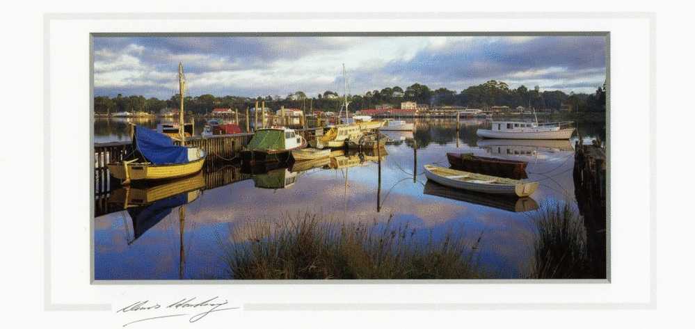 Australia Tasmania Strahan Harbour From Risby Cove - Chris Harding Long PC 21.5x10cm Unused - Andere & Zonder Classificatie