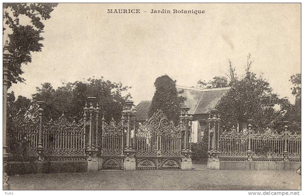 ILE MAURICE MAURICE JARDIN BOTANIQUE - Mauritius