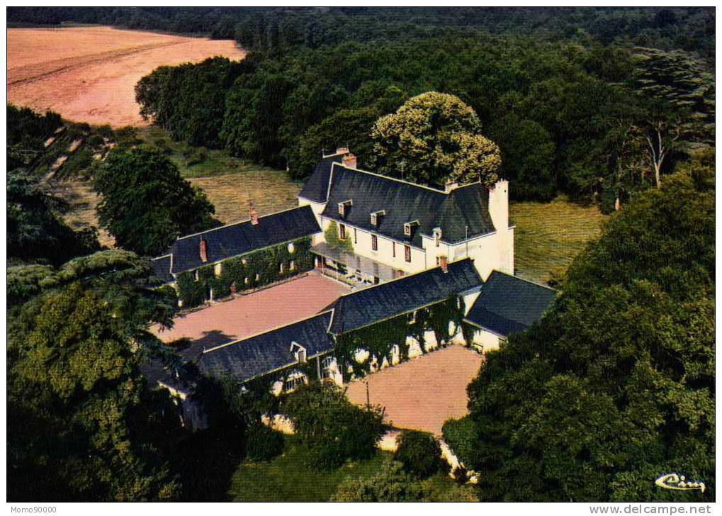 GENILLE : Château Du Courbat Et Du Grand Biard - Genillé