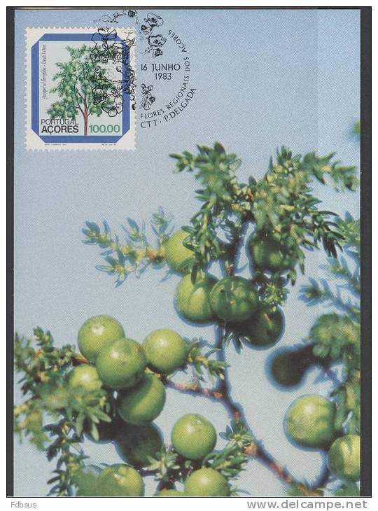 1983 - FLORES REGIONAIS - BPA-24  JUNIPERUS - FLOWERS - BLOEMEN - FLEURS - BLANCO CARD - Açores