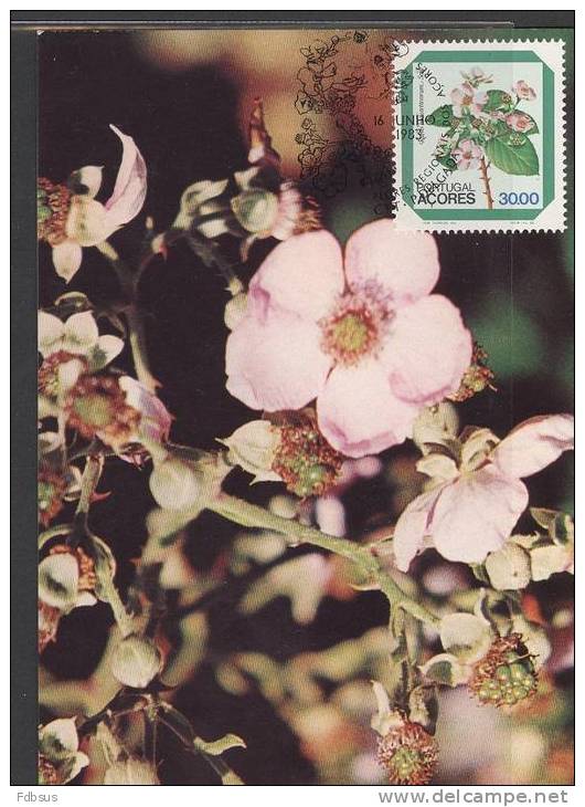 1983 - FLORES REGIONAIS - BPA-25  RUBUS - FLOWERS - BLOEMEN - FLEURS - BLANCO CARD - Açores