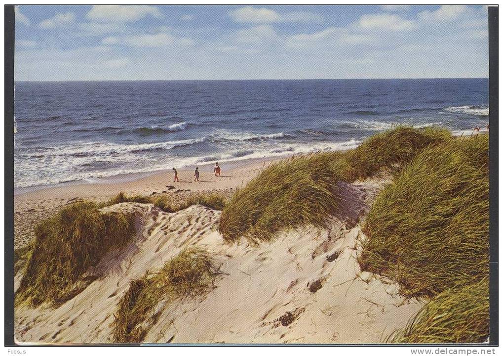 1975  MUVA PRENTBRIEFKAART ALKMAAR NAAR ESSEN BELGIE - DUINEN DUNES ZEE SEA - MET POSTZEGEL NVPH NR 1073 - Alkmaar