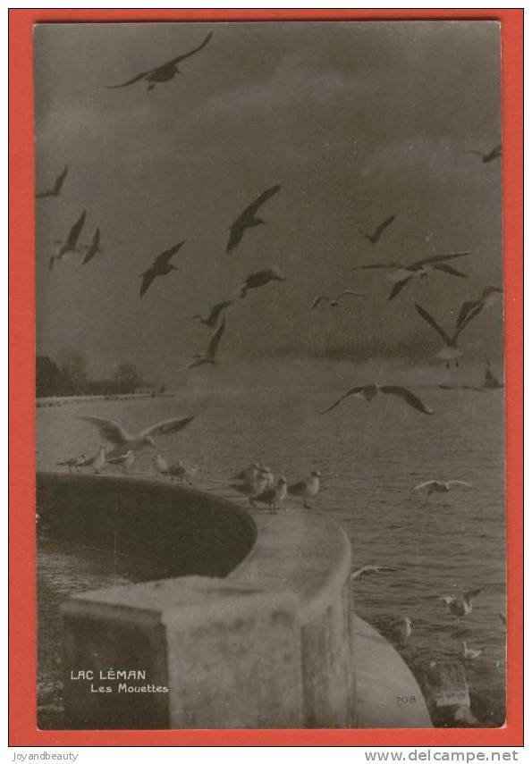 A024, Lac Léman, Les Mouettes, Postée à Morges Pour Bulle En 1926, édition Perrochet - Morges