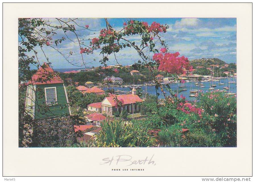 GUADELOUPE - SAINT BARTHELEMY - GUSTAVIA - CARAIBE - LE PORT - FRENCH WEST INDIES  - TIMBRE / SCAMP >> SCAN - Saint Barthelemy