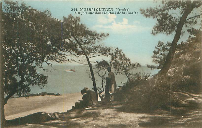 85 - NOIRMOUTIER - Un Joli Site Dans Le Bois De La Chaize (Edit. J. Nozais, N° 244) - Noirmoutier