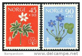 Norway B62-63 Mint Hinged Semi-Postal Set From 1960 (Flowers) - Unused Stamps
