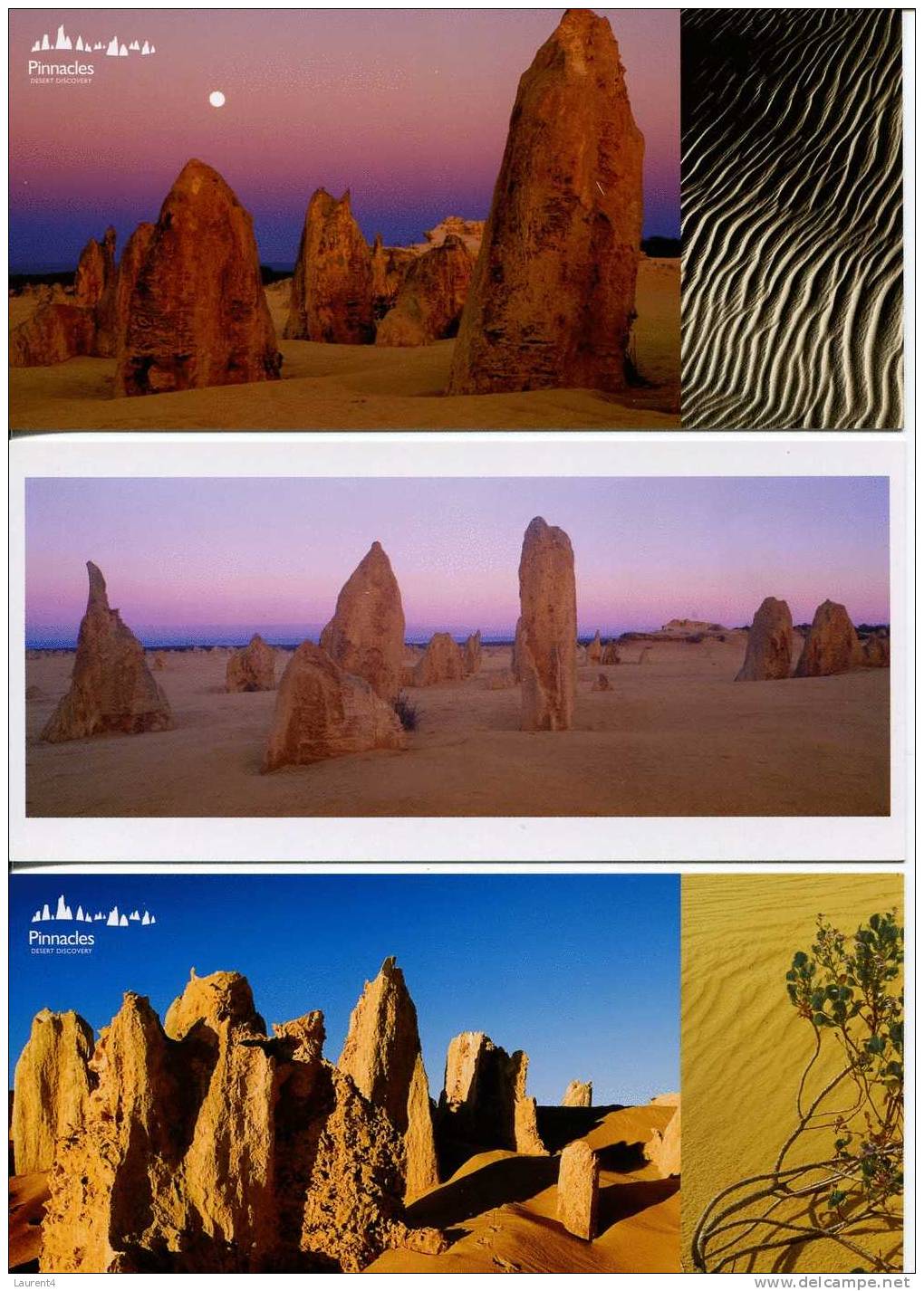 (309) Pinnacles Desert - Altri & Non Classificati