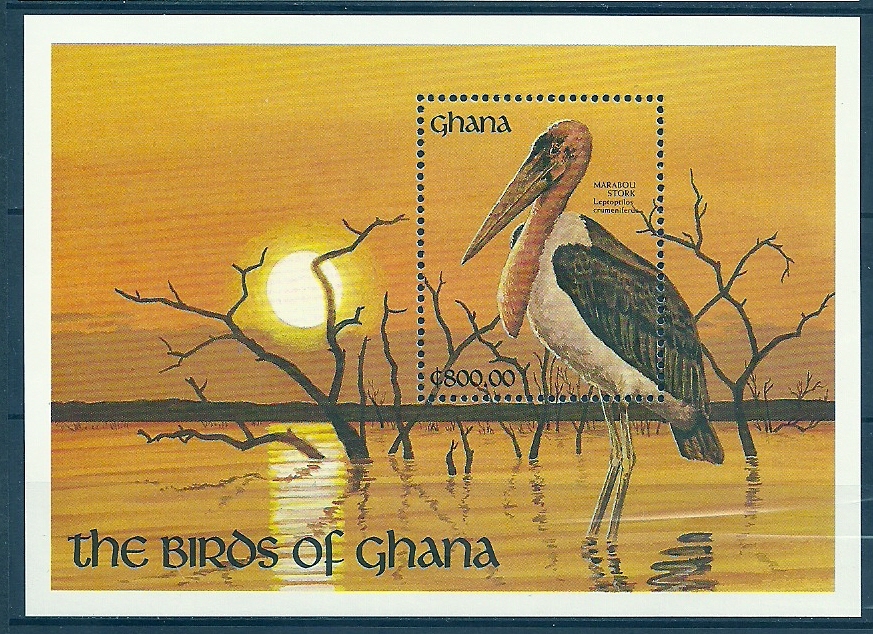 Ghana  1991 Birds  Oiseaux  Aves Marabou Souvenir Sheet  MNH - Storks & Long-legged Wading Birds