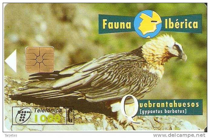 B-053/b TARJETA DE EL QUEBRANTAHUESOS CHIP F-6  FAUNA IBERICA - Basisausgaben