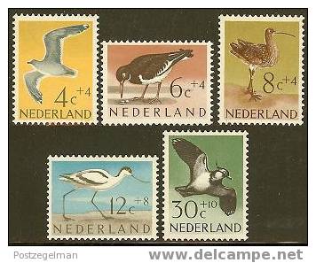 NEDERLAND 1961 OMP Zegel(s) Zomer 760-764 #683 - Ungebraucht