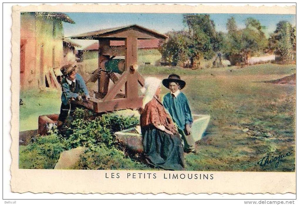 LES PETITS LIMOUSINS - Limousin