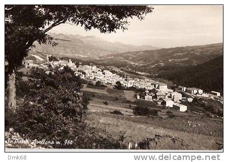 SAN PIETRO AVELLANA  ( ISERNIA ) PANORAMA - 1962 ( A ) - Isernia