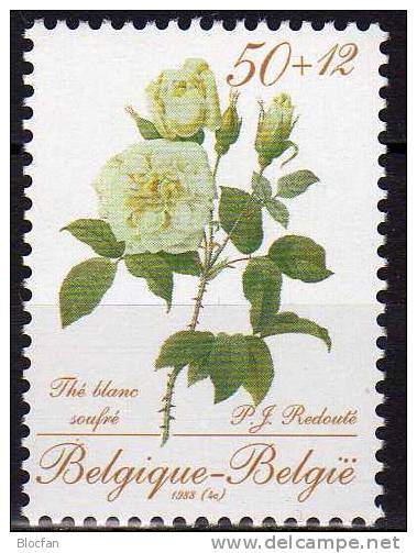 Rosen Für Königin Belgien 1988 Block 57 ** 7€ Blanc Soufre Förderung Philatelie Blume Zeichnung Redoute Sheet Bf Belgica - Berühmte Frauen