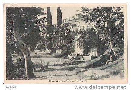 BONEFRO ( CAMPOBASSO ) FONTANA DEI CIECHI - 1935 - Campobasso