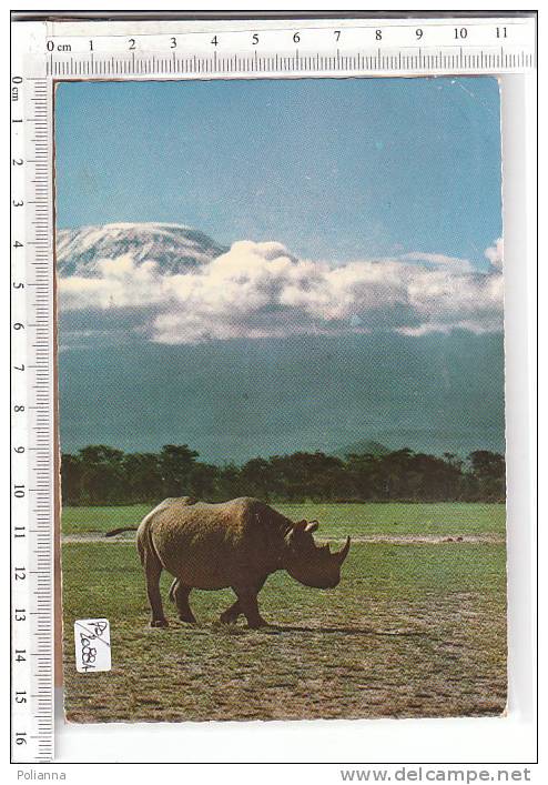 PO2088A# KENYA - RINOCERONTE  VG 1973 - Kenya