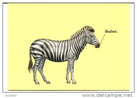 CPM ZEBRE Salut Spray.fr - Zebra's