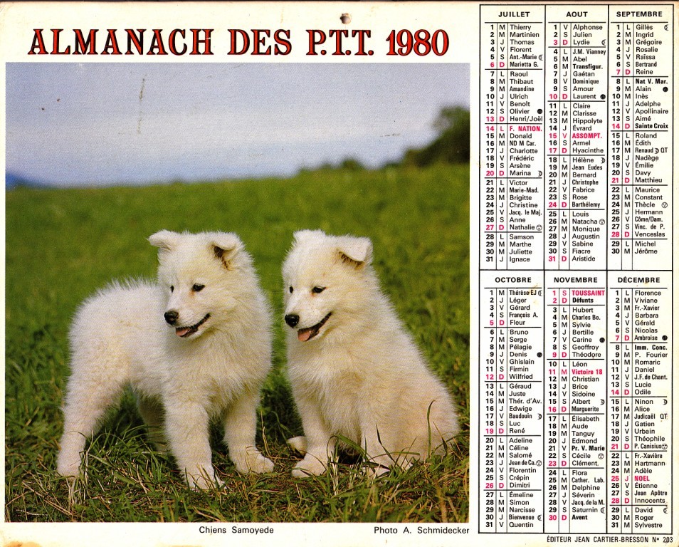 ALMANACH 1980 - Formato Grande : 1971-80
