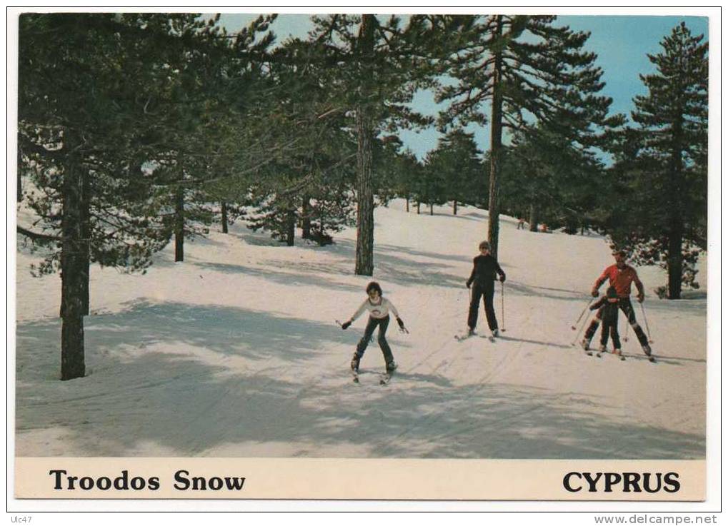 - CYPRUS. - Troodos Snow - - Chypre