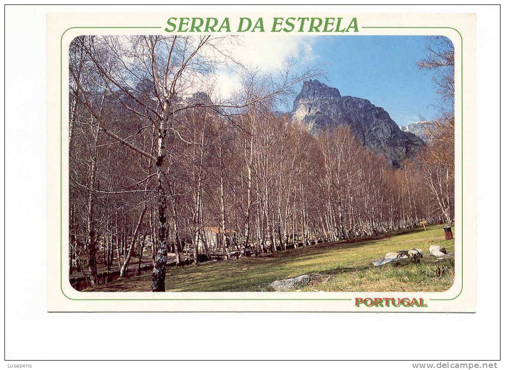 Portugal Cor 08495 – SERRA DA ESTRELA - COVÃO D'AMETADE - Guarda
