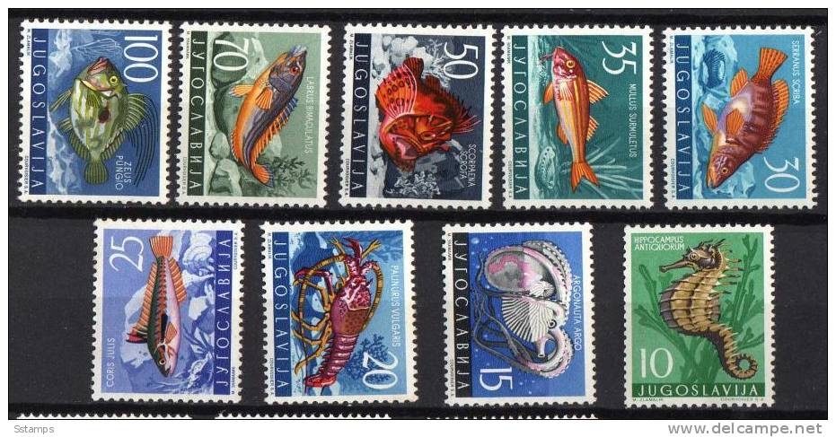 U-Rb   JUGOSLAVIA  FAUNA FISHES  LUX NEVER HINGED - Unused Stamps