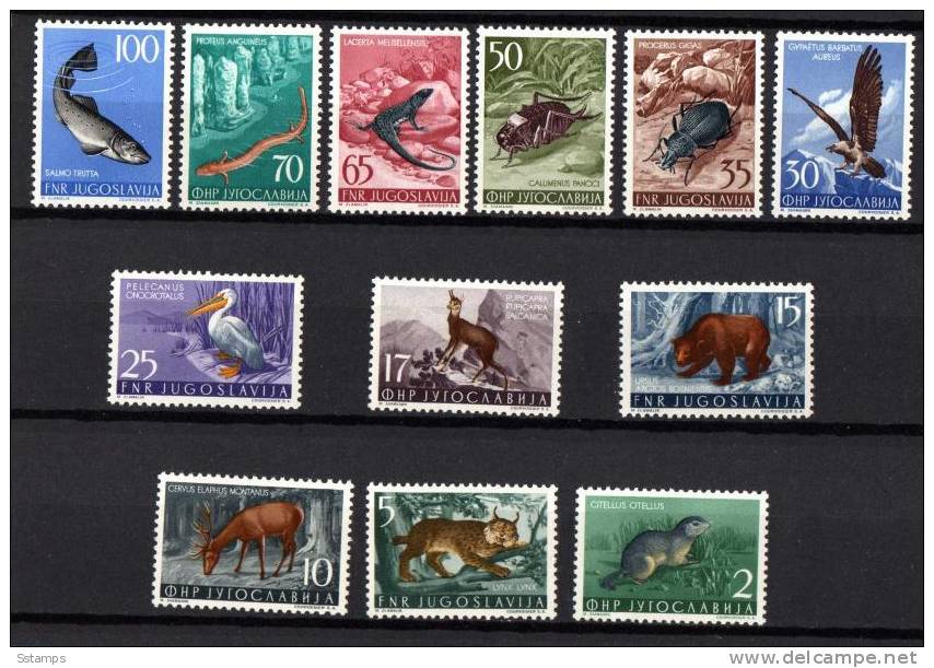 U-Rb   JUGOSLAVIA FAUNA LUX NEVER HINGED - Unused Stamps
