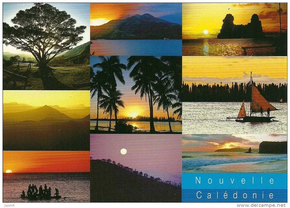 Nouvelle Calédonie - (G) CPM ** Neuve - Editions SOLARIS N° 2308 - New Caledonia
