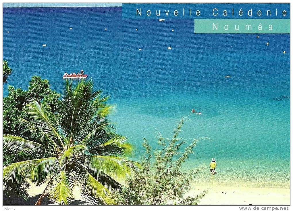Nouvelle Calédonie - (G) CPM ** Neuve - Editions SOLARIS N° 2390 - Paysage - Lagon - Nieuw-Caledonië