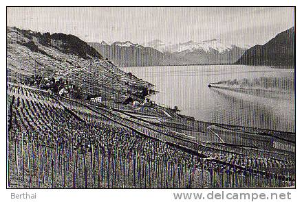 SUISSE VD - Lavaux Pres De Riex Et Les Alpes - Riex