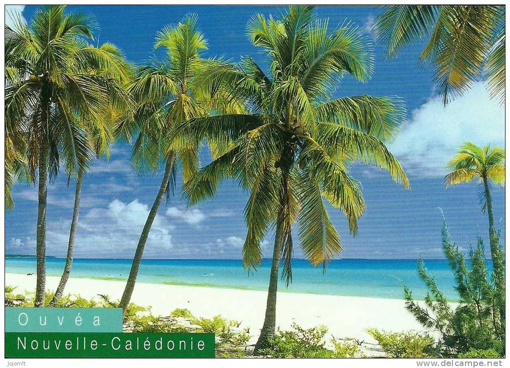 Nouvelle Calédonie - (G) CPM ** Neuve - Editions SOLARIS N° 2464 - Paysage - Lagon - Nieuw-Caledonië