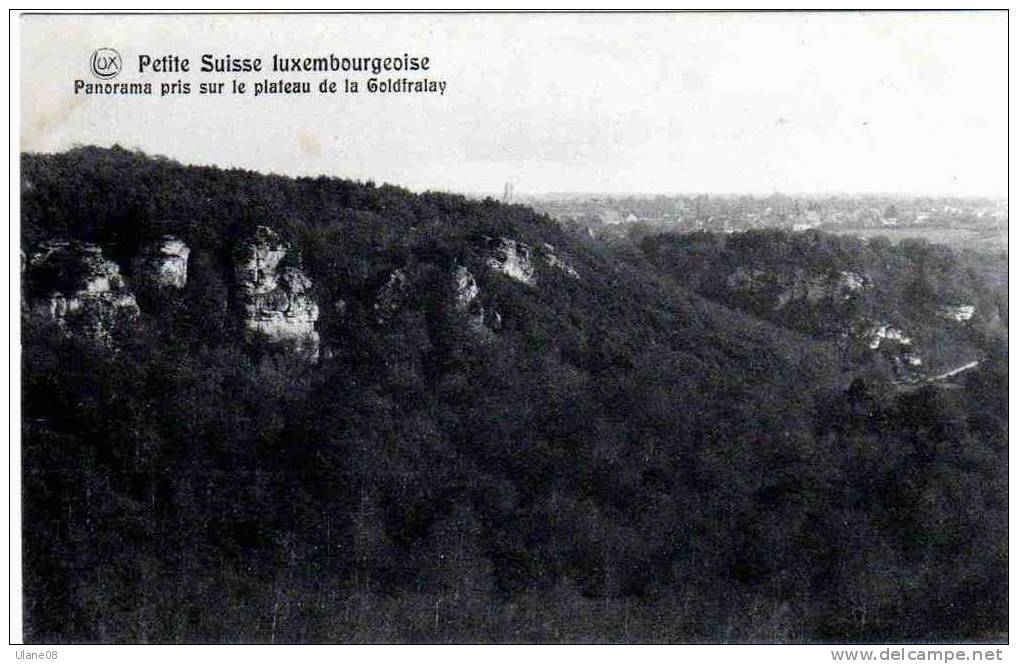 Petite Suisse Luxembourgeoise Panorama Pris Sur Le Plateau De La Goldfralay - Müllerthal