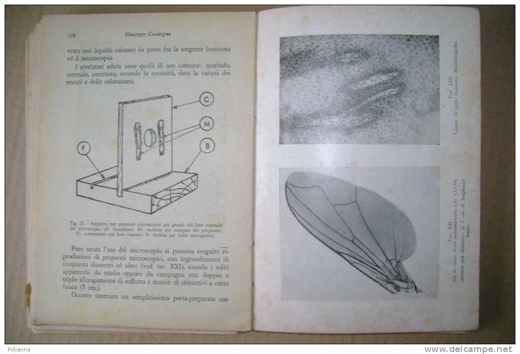 PDI/25  G.Casalegno TUTTI FOTOGRAFI Viglongo Anni '50 - Pictures