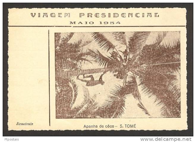 SÃO TOMÉ E PRÍNCIPE (Africa) - Presidential Trip May 1954 - Apanha De Coco - Sao Tome Et Principe