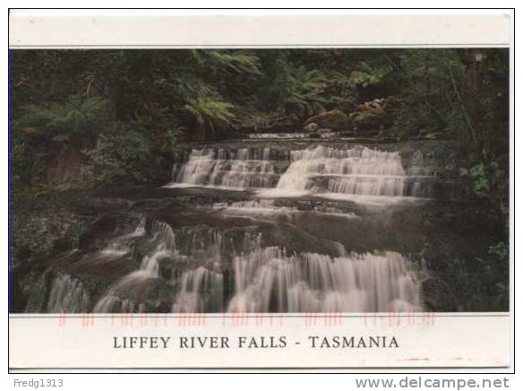 Tasmania - Liffey River Falls - Wilderness