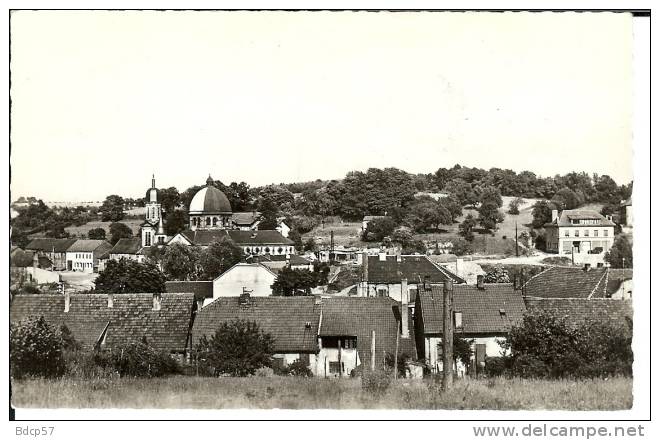 57 - MOSELLE - CREUTZWALD - Vue Générale - Dentelée 9 X 14 - Creutzwald