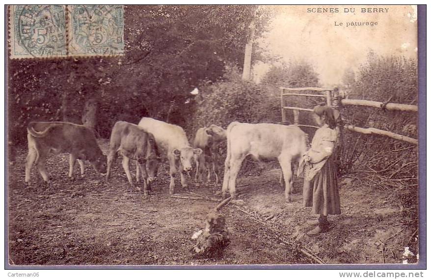 Région - Scenes Du Berry - Le Paturage (vaches, Vaux) - Centre-Val De Loire