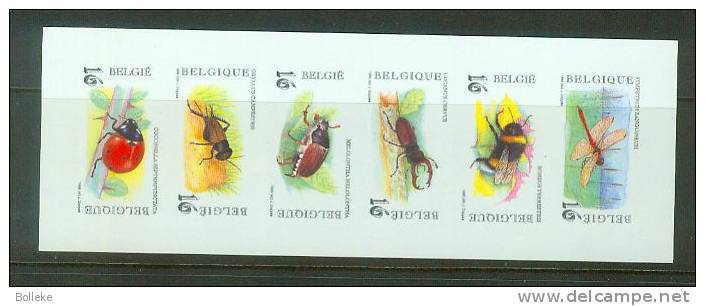 Insectes  -  Abeilles  -  Belgique  -  Carnet NON Dentelé  - Coccinelles -  Scarabés - Faible Tirage - Honeybees