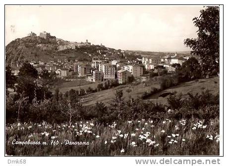 CAMPOBASSO - PANORAMA - 1964 - Campobasso