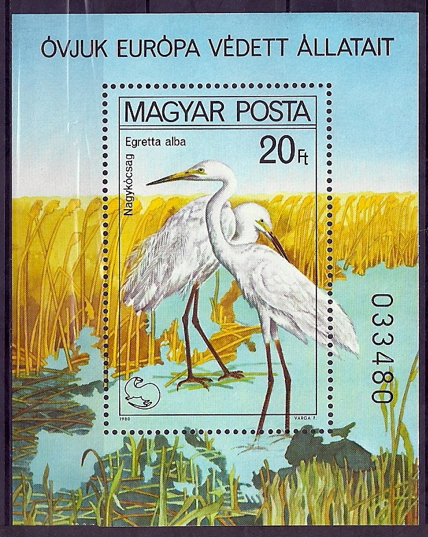 Hungary 1980 Birds Oiseaux  Aves Protected Egret  MNH - Storks & Long-legged Wading Birds