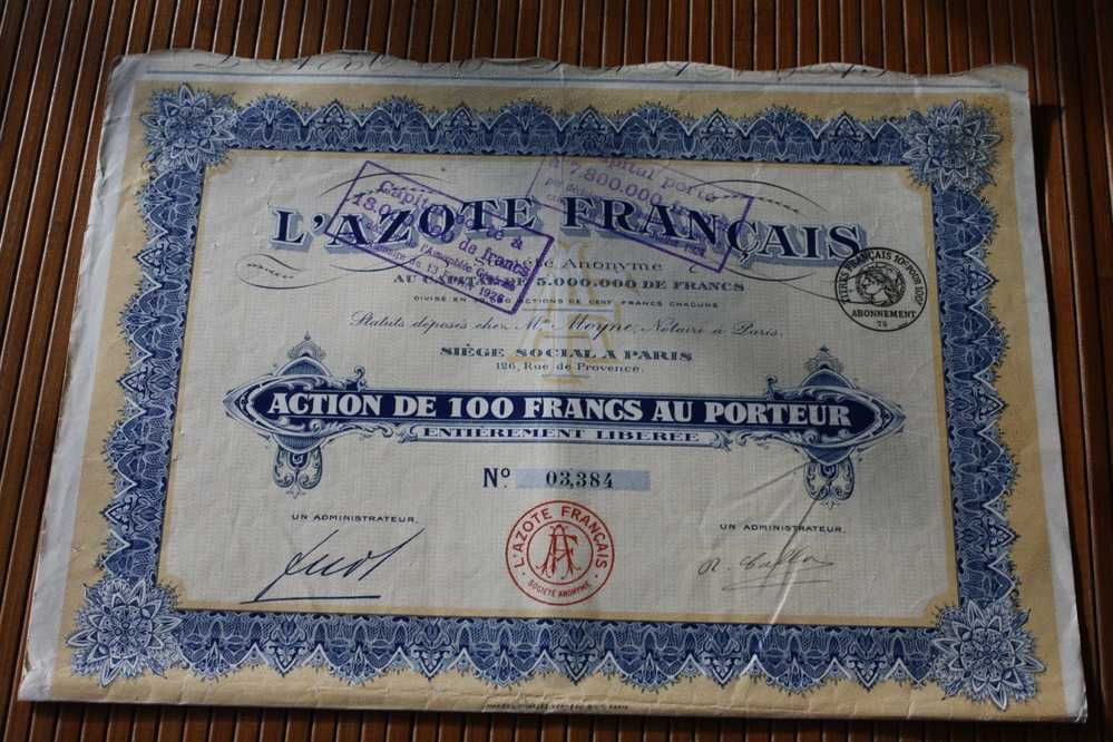 L'AZOTE FRANCAIS   SIEGE A PARIS  FRANCE  ACTION  TITRE => SCRIPOPHILIE - Industrie