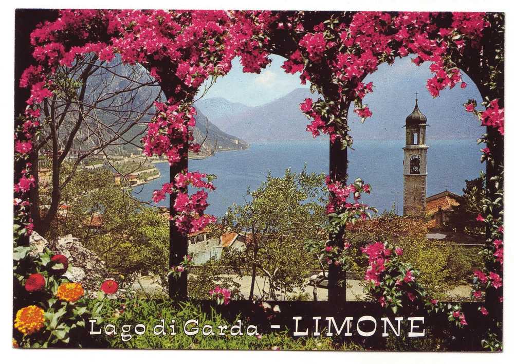 LIMONE - Cologno Monzese