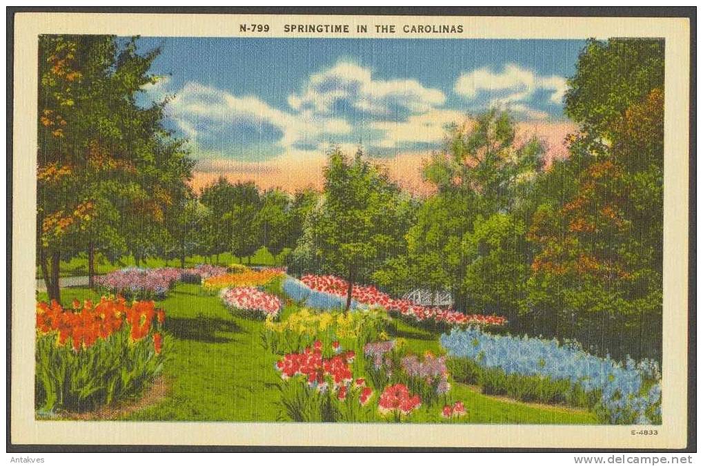 USA Postcard Springtime In The Carolinas NC North Carolina - Asheville