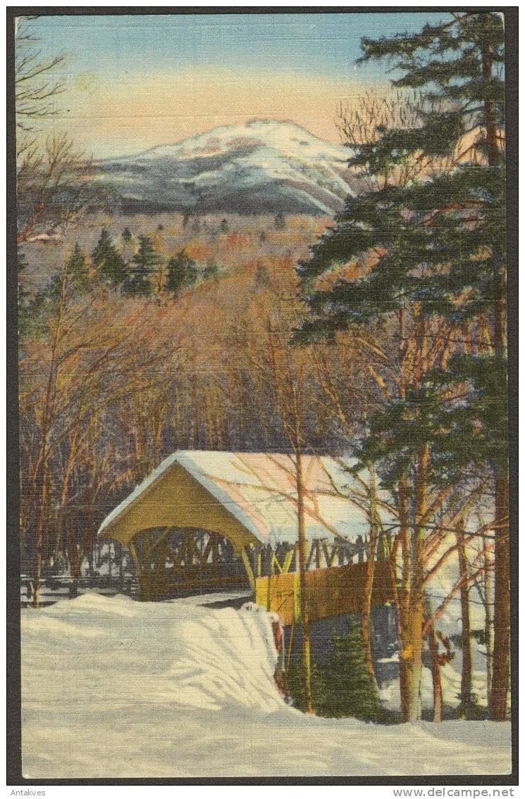 USA Postcard Liberty & Covered Bridge At The Flume NH New Hampshire - White Mountains